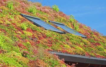 Cottenham Park living roof systems